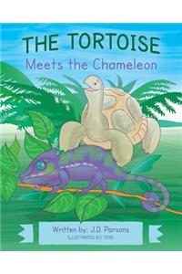 Tortoise Meets the Chameleon