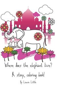 Where does the elephant live?