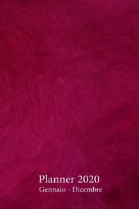 Planner 2020 Gennaio - Dicembre