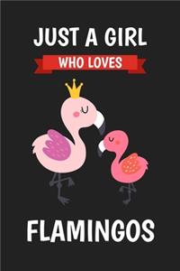 Just A Girl Who Loves Flamingos