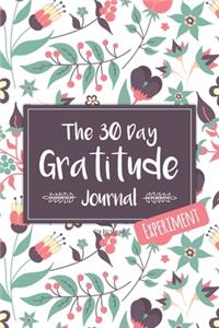 The 30 Day Gratitude Journal Experiment for Beginners