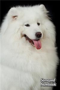 Samoyed Notebook