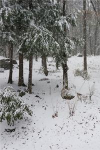 2020 Weekly Planner Winter Scene Evergreens Trees 134 Pages