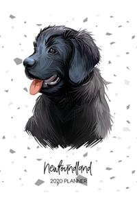 Newfoundland 2020 Planner