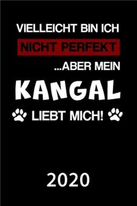 Kangal 2020