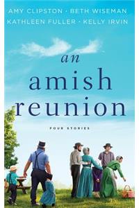 An Amish Reunion