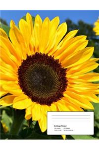 Composition Book - Sunflower In The Sun