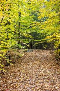 2019 Weekly Planner Pretty Fall Leaves Autumn Path 134 Pages