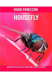 Housefly: Amazing Photos & Fun Facts Book about Housefly for Kids