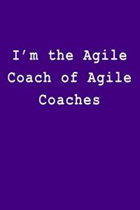 I'm the Agile Coach of Agile Coaches