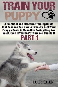 Train your Puppy