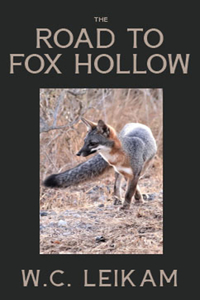 Road to Fox Hollow