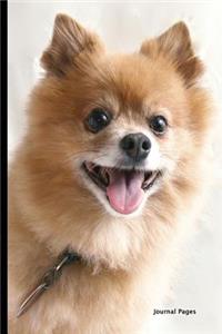 Journal Pages - Doggy Dog (Bullet Journal)