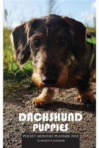 Dachshund Puppies Pocket Monthly Planner 2018