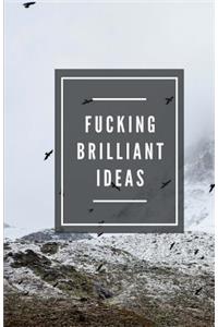 Fucking Brilliant Ideas (Notebook)
