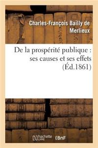 de la Prospérité Publique: Ses Causes Et Ses Effets