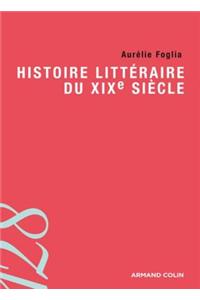 Histoire Litteraire Du Xixe Siecle