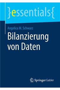 Bilanzierung Von Daten