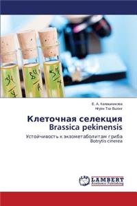 Kletochnaya Selektsiya Brassica Pekinensis