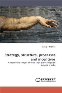 Strategy, Structure, Processes and Incentives