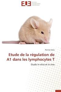 Etude de la Régulation de A1 Dans Les Lymphocytes T