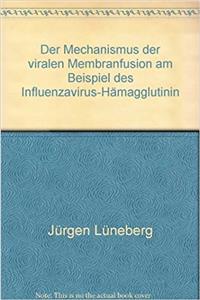Der Mechanismus Der Viralen Membranfusion Am Beispiel Des Influenzavirus-Hamagglutinin