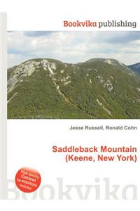 Saddleback Mountain (Keene, New York)