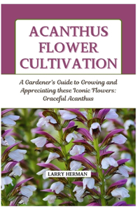 Acanthus Flower Cultivation