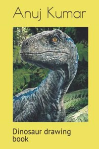 Dinosaur drawing book