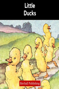 Little Ducks