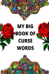 My Big Book Of Curse Words