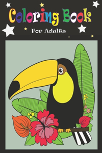Coloring Book For Adults