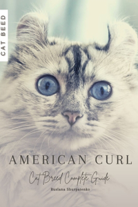 American Curl