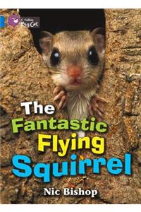 The Fantastic Flying Squirrel Workbook