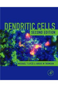 Dendritic Cells