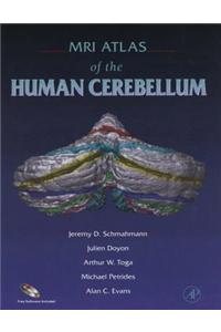MRI Atlas of the Human Cerebellum
