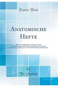 Anatomische Hefte: Referate Und Beitrage Zur Anatomie Und Entwickelungsgeschichte; Erste Abteilung, Arbeiten Aus Anatomischen Instituten; VI./VII. Heft (II. Band, Heft III./IV) (Classic Reprint): Referate Und Beitrage Zur Anatomie Und Entwickelungsgeschichte; Erste Abteilung, Arbeiten Aus Anatomischen Instituten; VI./VII. Heft (II. Band, Heft