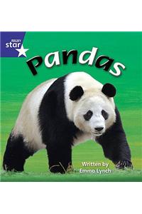 Star Phonics Set 9
