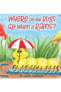 Where Do the Bugs Go When it Rains?