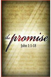 The Promise