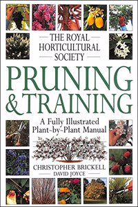 RHS Pruning & Training
