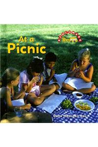 At a Picnic