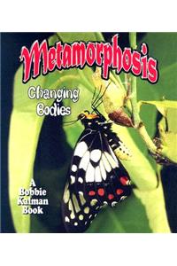 Metamorphosis