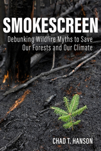 Smokescreen