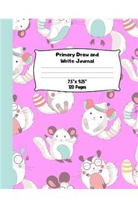 Primary Draw and Write Journal