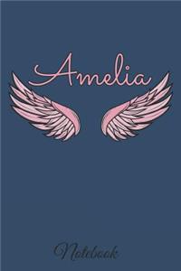 Amelia Notebook