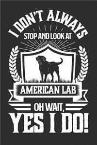 I Don't Always Stop and Look At American Labs OH Wait, Yes I Do!