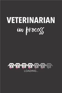 Veterinarian in process