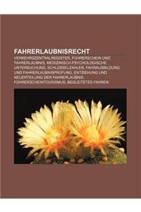 Fahrerlaubnisrecht: Verkehrszentralregister, Fuhrerschein Und Fahrerlaubnis, Medizinisch-Psychologische Untersuchung, Schlusselzahlen