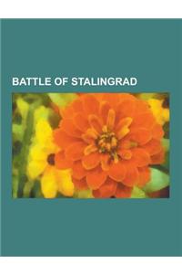 Battle of Stalingrad: 76th Rifle Division (Soviet Union), Axis Order of Battle at the Battle of Stalingrad, Battle of Nikolayevka, Battle of